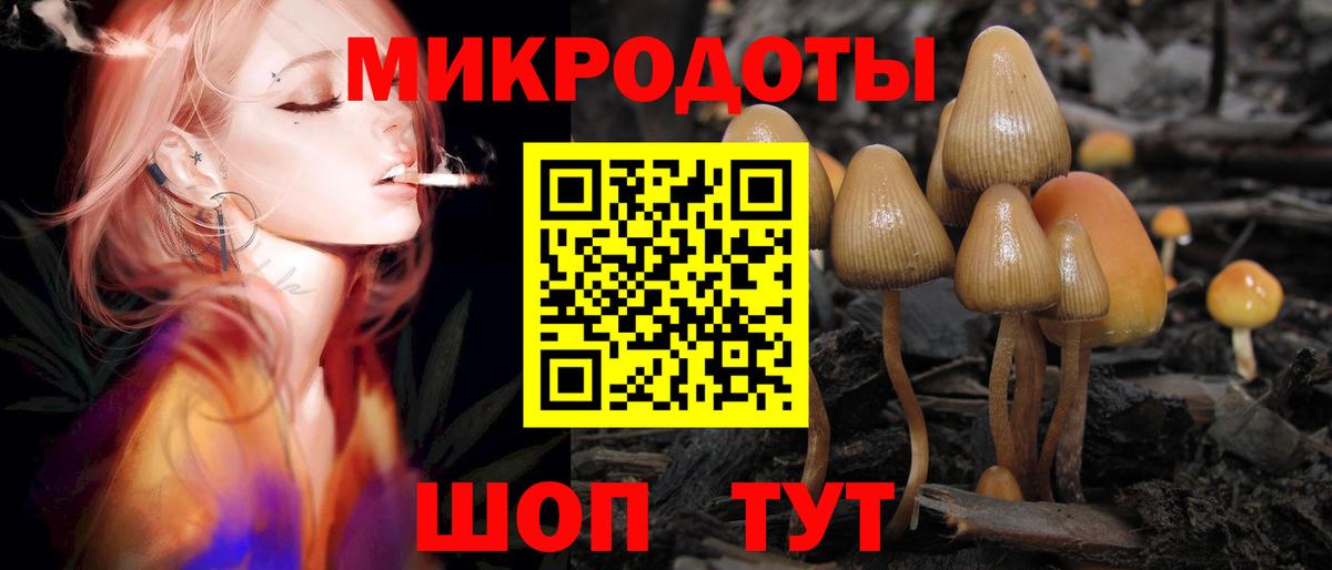 Галлюциногенные грибы Cubensis  как найти   Вход с VPN  Томск  Псилоцибиновые грибы MAGIC MUSHROOMS 